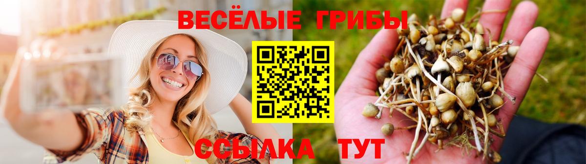 Галлюциногенные грибы прущие грибы Муравленко