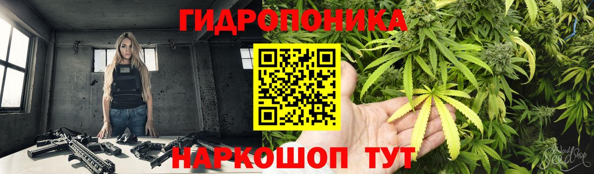 Муравленко  Конопля VHQ  Каннабис Bruce Banner  Вход с VPN 
